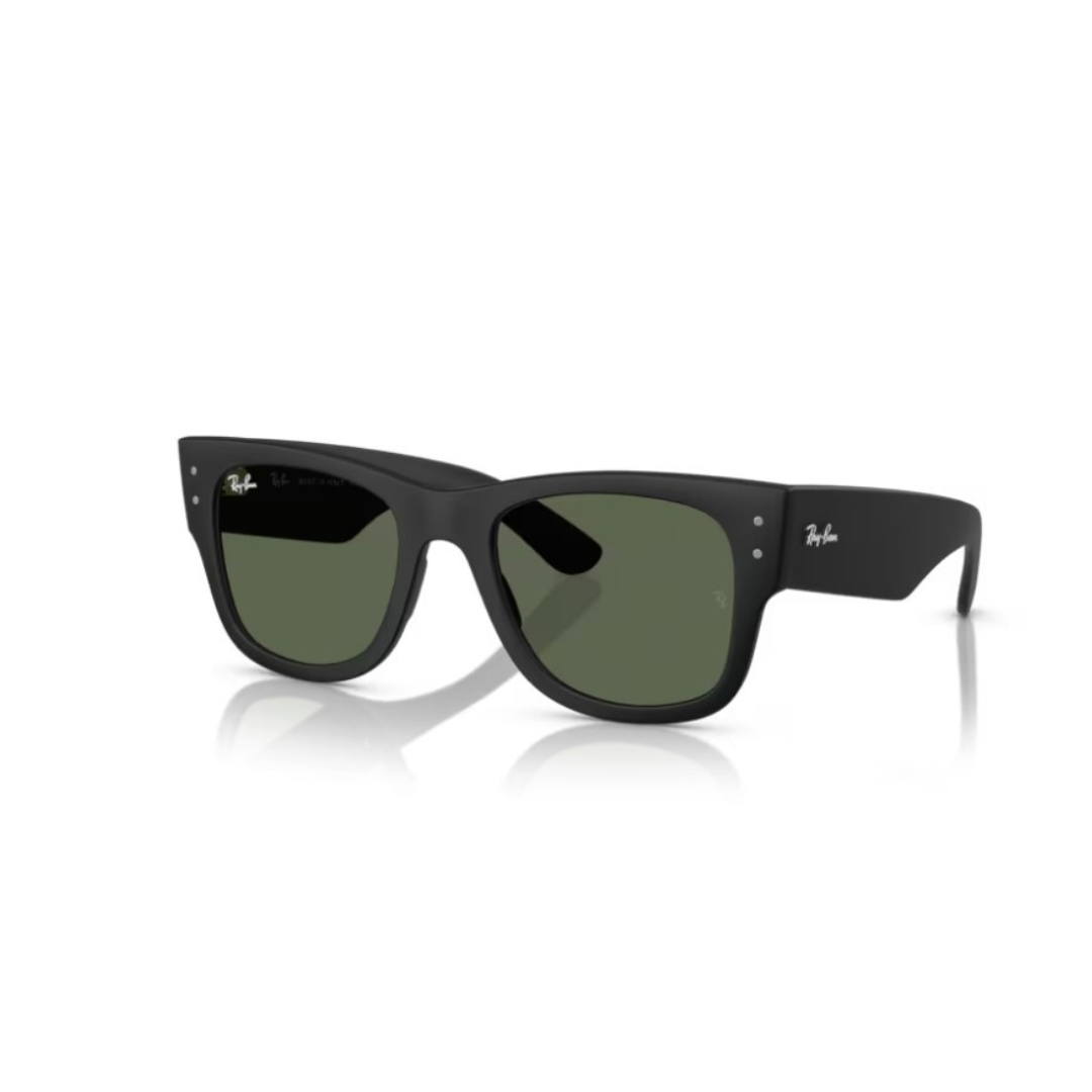 Ray-Ban Sole 4840S