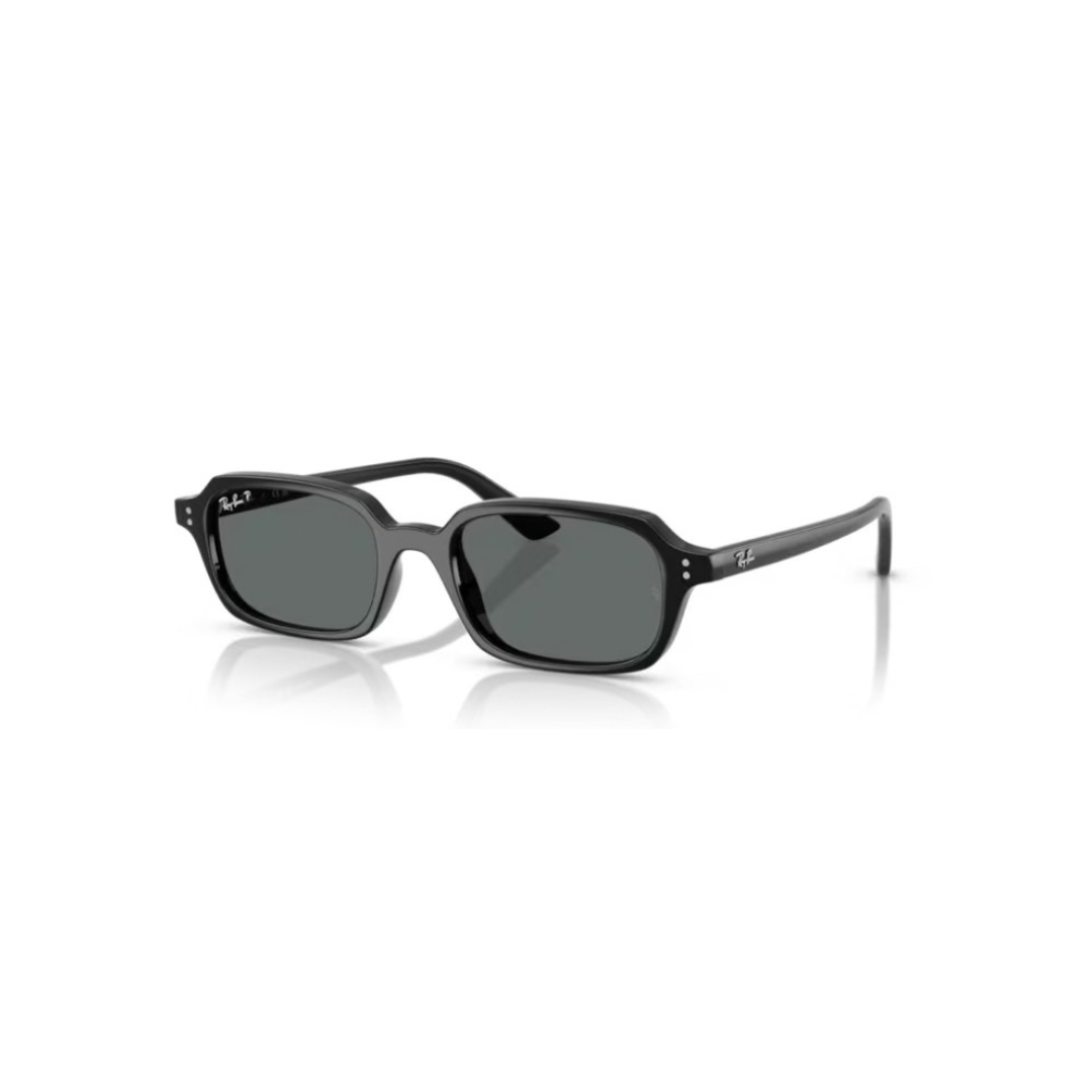 Ray-Ban Sole 4455