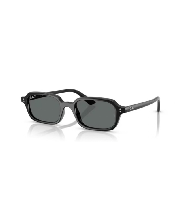 Ray-Ban Sole 4455