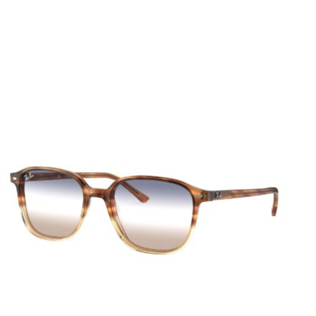Ray-Ban Sole 2193
