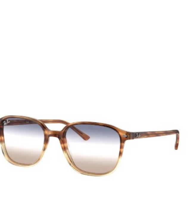 Ray-Ban Sole 2193