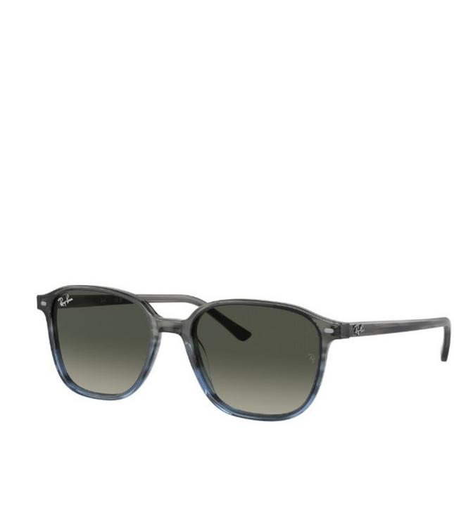 Ray-Ban Sole 2193