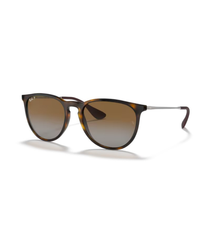Ray-Ban Sole 4171