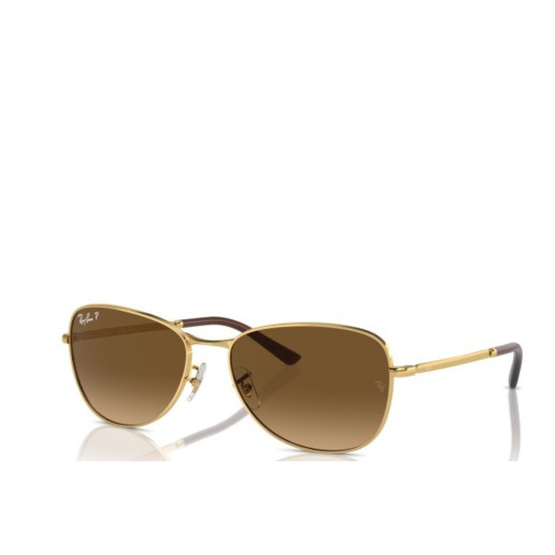 Ray-Ban Sole 3733
