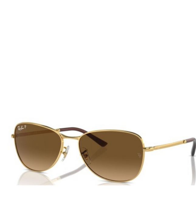 Ray-Ban Sole 3733