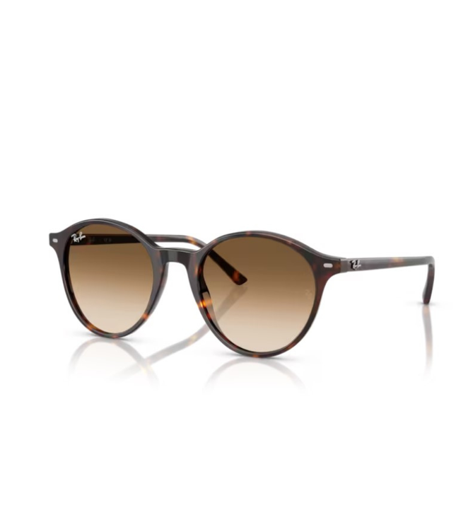 Ray-Ban Sole 2230