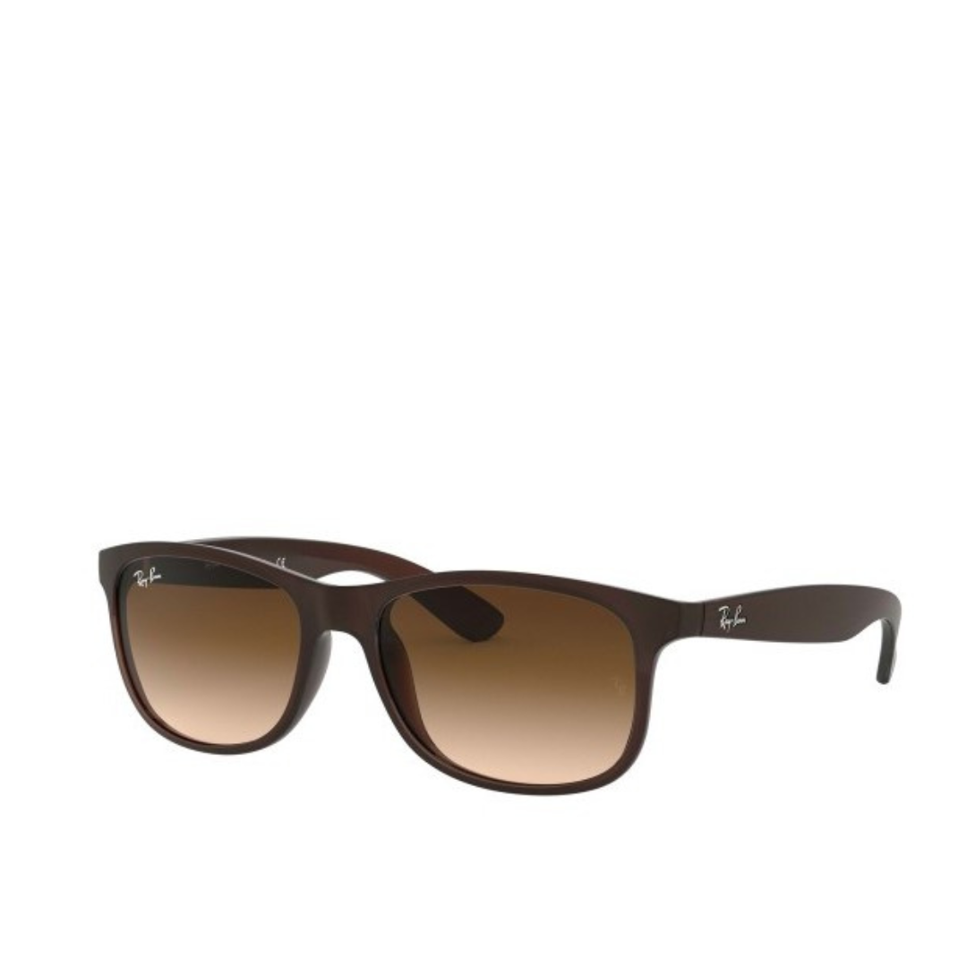 Ray-Ban Sole 4202