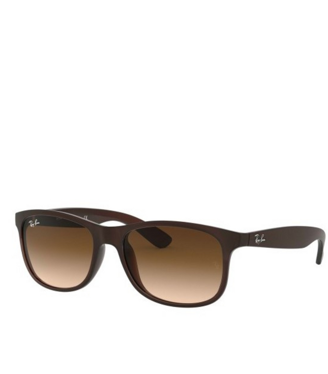 Ray-Ban Sole 4202