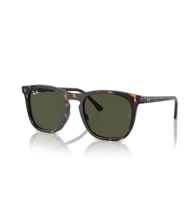 Ray-Ban Sole 2210