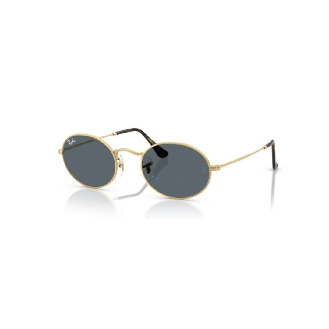 Ray-Ban Sole 3547N