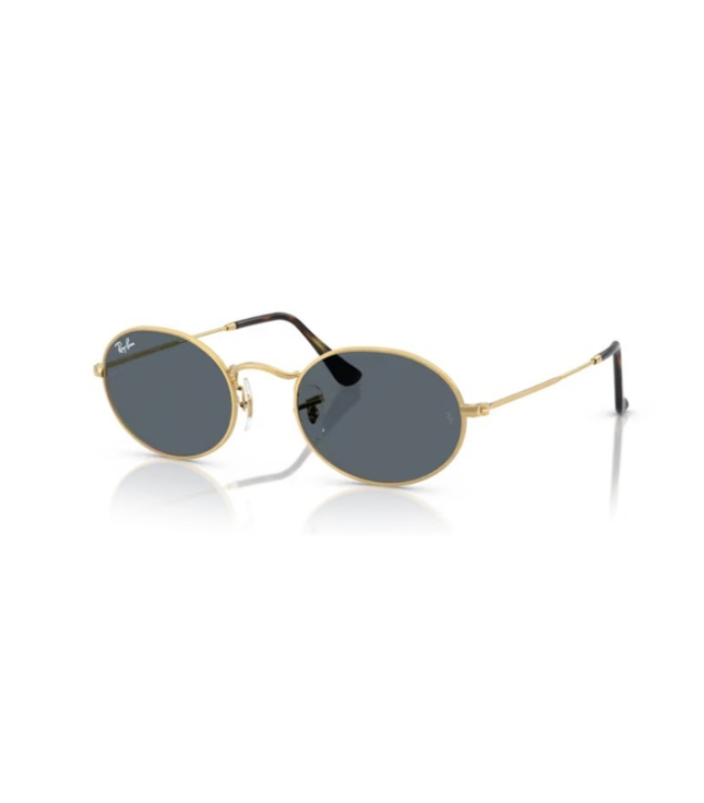 Ray-Ban Sole 3547N