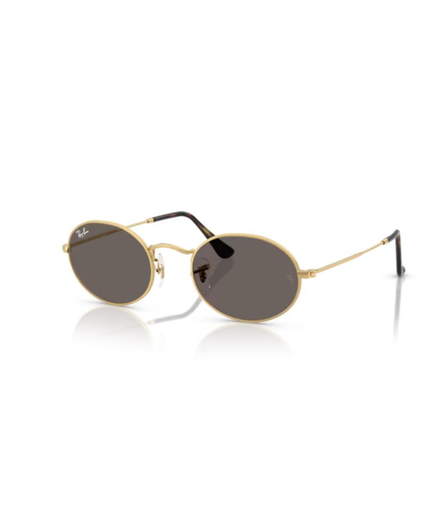 Ray-Ban Sole 3547N