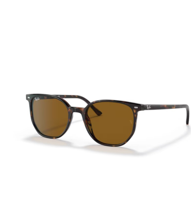 Ray-Ban Sole 2197